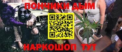 СК Волгодонск