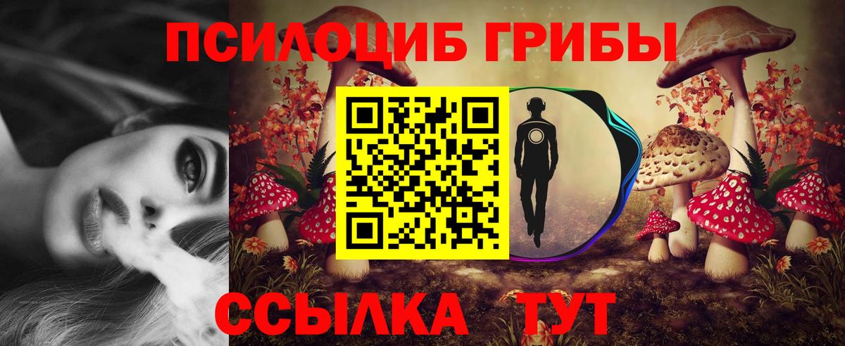 Галлюциногенные грибы мицелий  Вход с VPN  Бердск 