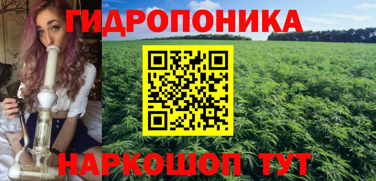 Бердск  Бошки Шишки VHQ  Бошки марихуана VHQ  Вход с VPN  Бошки марихуана THC 21% 